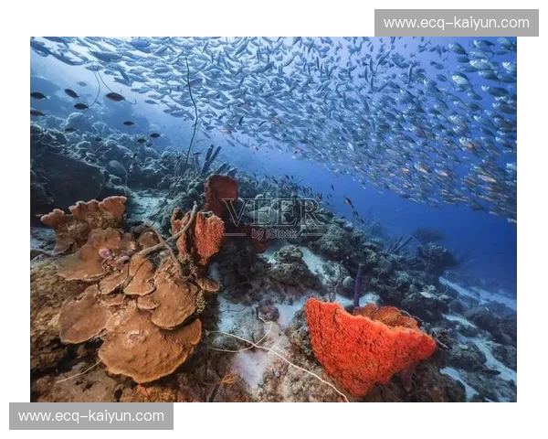 加勒比海之巅的狂想曲：库拉索与牙买加的绿茵权力游戏